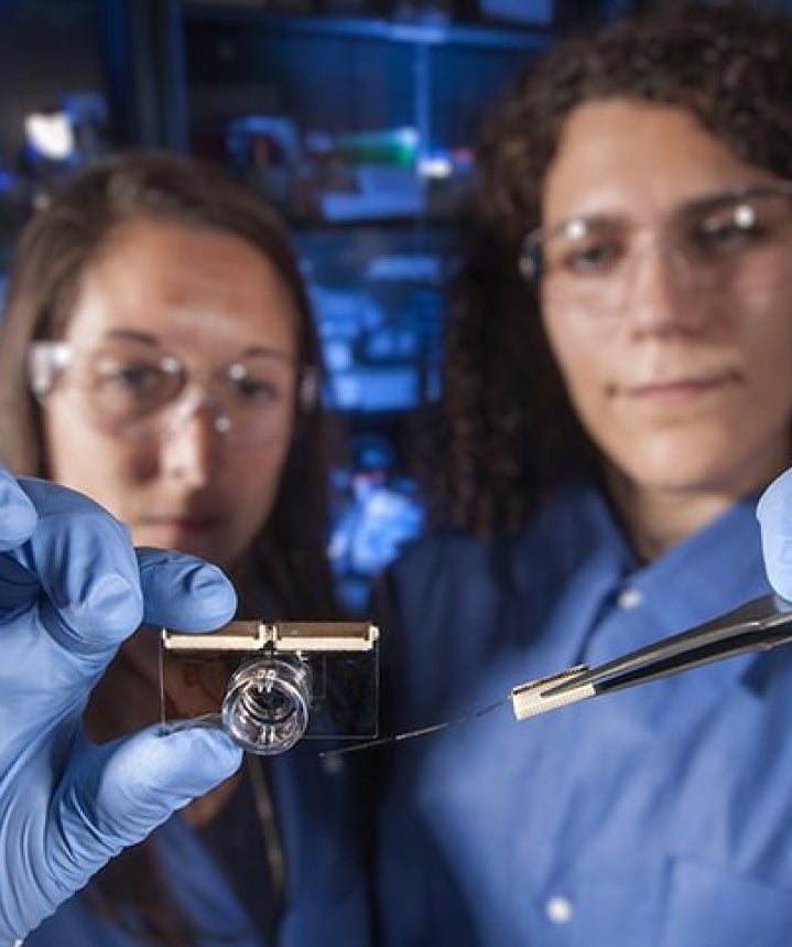 Vision Center For Neuroengineering Vision Center For Neuroengineering